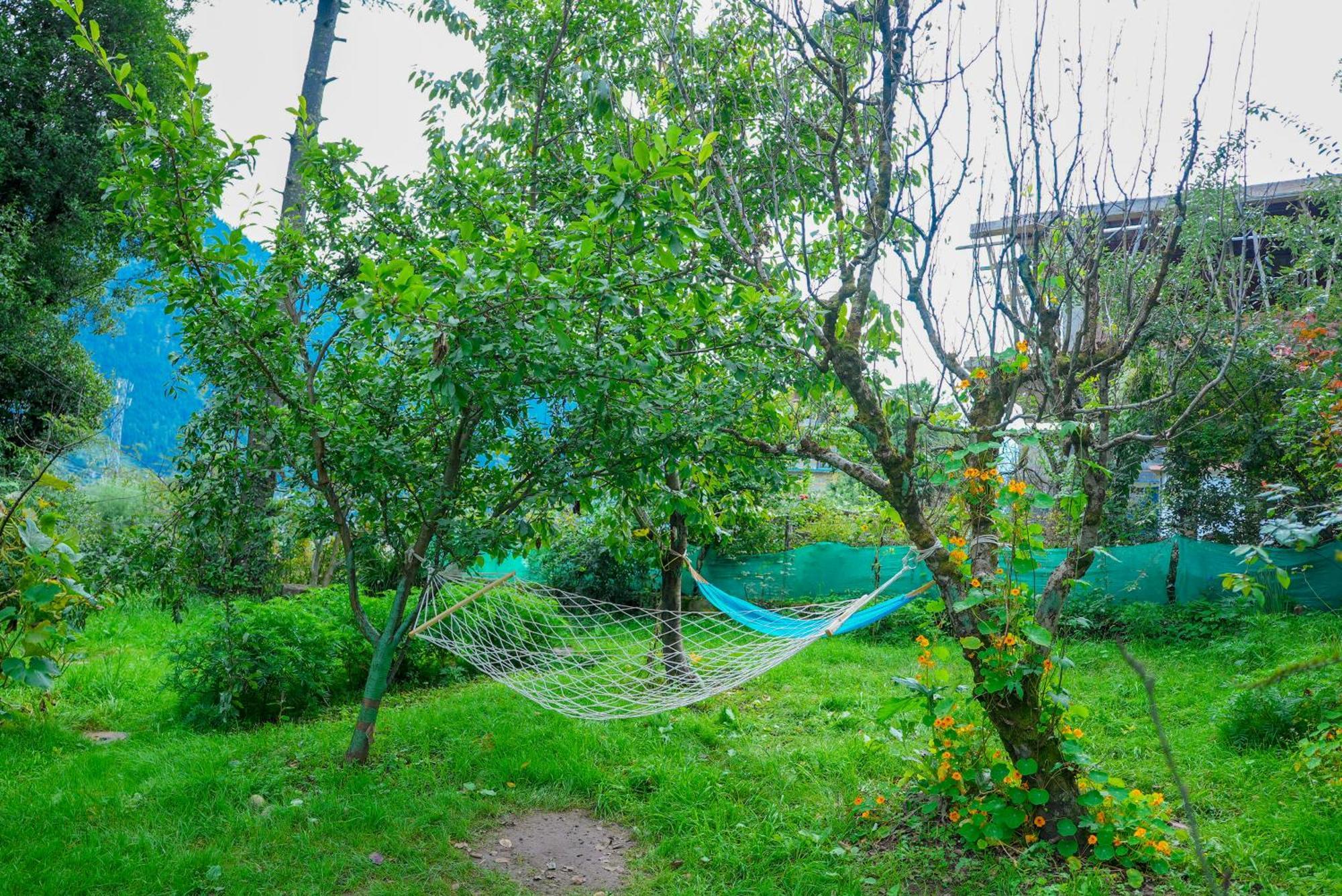 The Manu Emerald # Farmhouse # Top Selling Cottage In Manali # Peaceful Heritage Cozy Stay # Lawn With Bonfire # Most Awarded Luaran gambar
